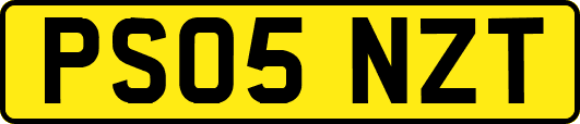 PS05NZT