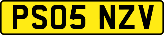 PS05NZV