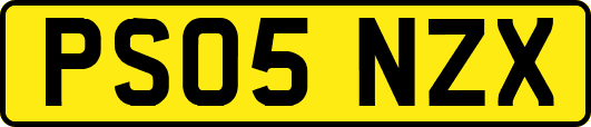 PS05NZX