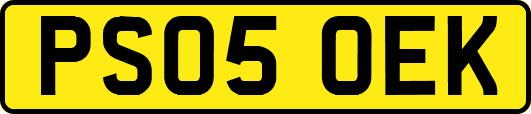 PS05OEK