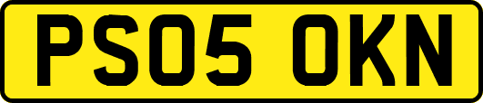 PS05OKN