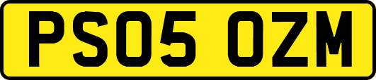 PS05OZM