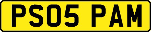PS05PAM
