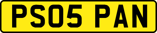 PS05PAN