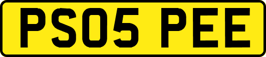 PS05PEE