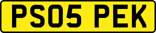 PS05PEK