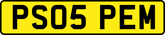 PS05PEM