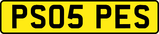 PS05PES