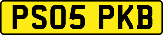 PS05PKB
