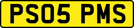 PS05PMS