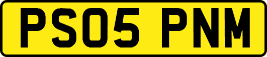 PS05PNM