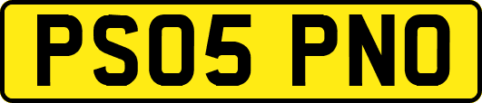 PS05PNO