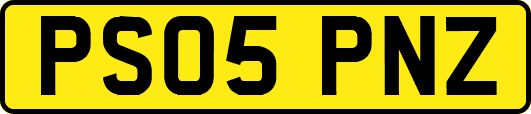 PS05PNZ