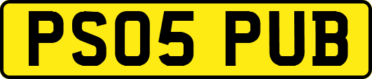 PS05PUB