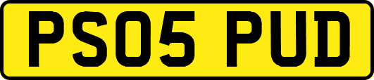 PS05PUD