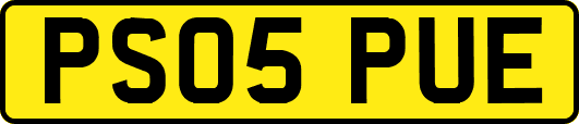 PS05PUE