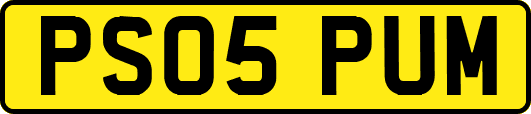 PS05PUM
