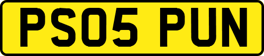 PS05PUN