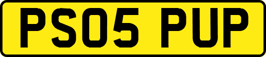 PS05PUP