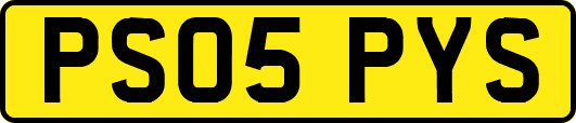 PS05PYS