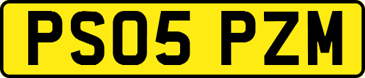 PS05PZM