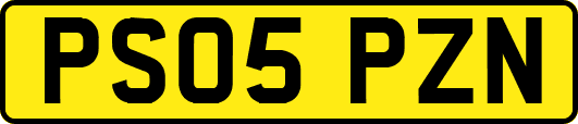 PS05PZN
