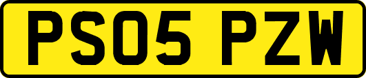 PS05PZW
