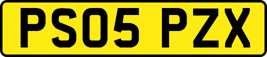 PS05PZX