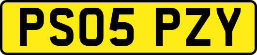 PS05PZY