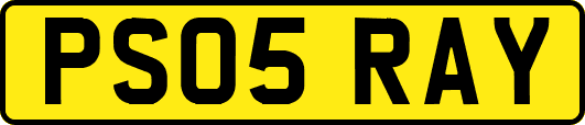 PS05RAY