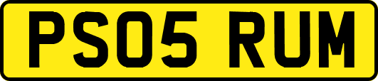 PS05RUM