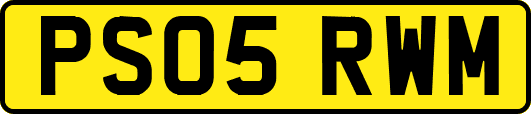 PS05RWM