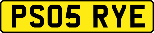PS05RYE