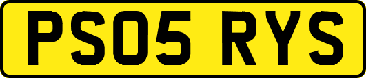 PS05RYS