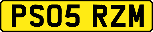 PS05RZM