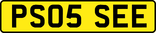PS05SEE
