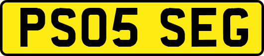 PS05SEG