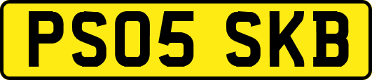 PS05SKB