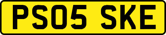 PS05SKE