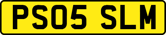 PS05SLM