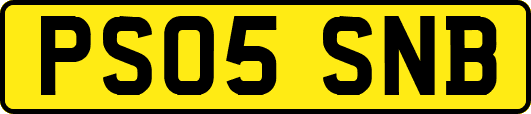 PS05SNB