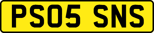 PS05SNS