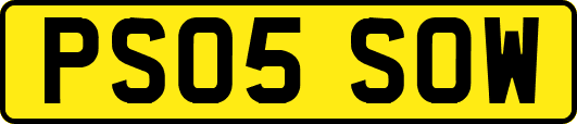 PS05SOW
