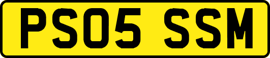 PS05SSM