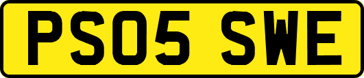PS05SWE