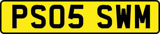 PS05SWM