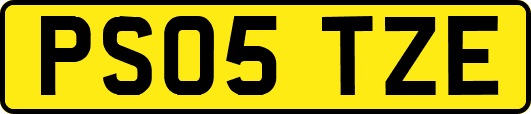 PS05TZE