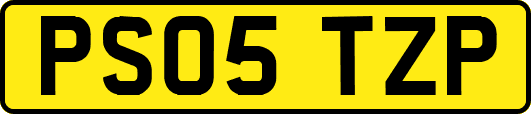 PS05TZP