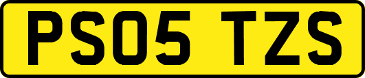 PS05TZS