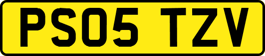 PS05TZV